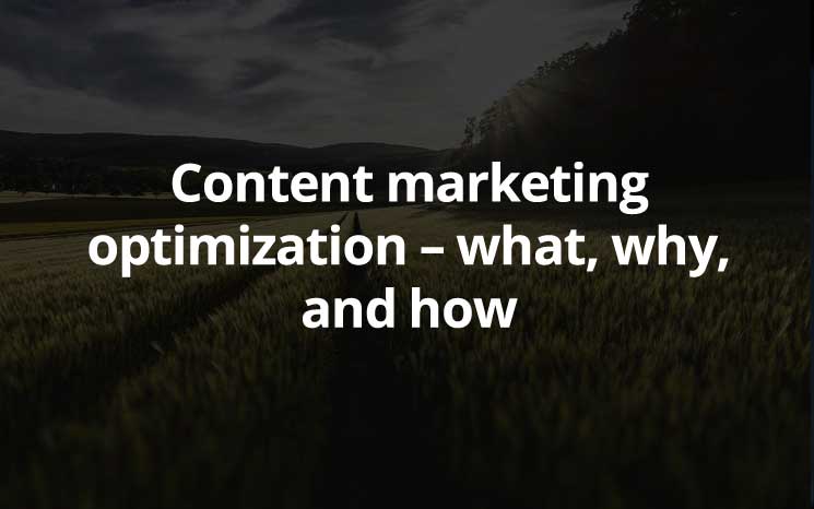 Content marketing optimization