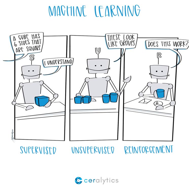 Categories of Machine Learning: from ceralytics